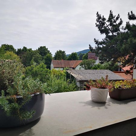 Spacy Apartment Next To The Center Of Graz With Terrasse Eksteriør bilde