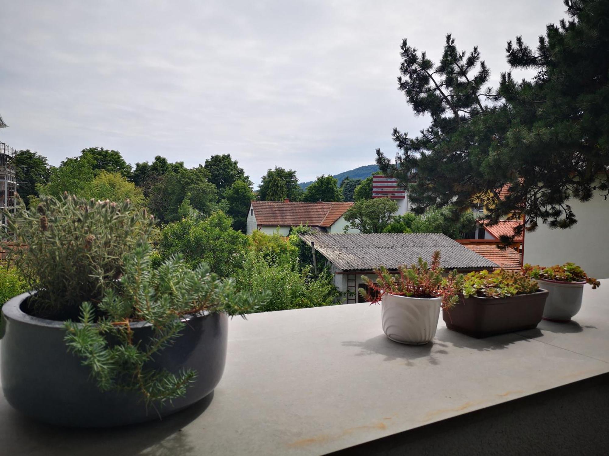 Spacy Apartment Next To The Center Of Graz With Terrasse Eksteriør bilde